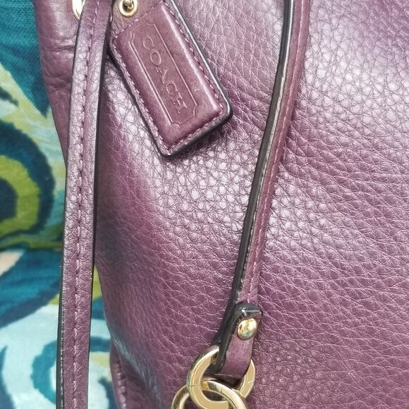 Coach Crossbody Tote - Picture 1 of 6